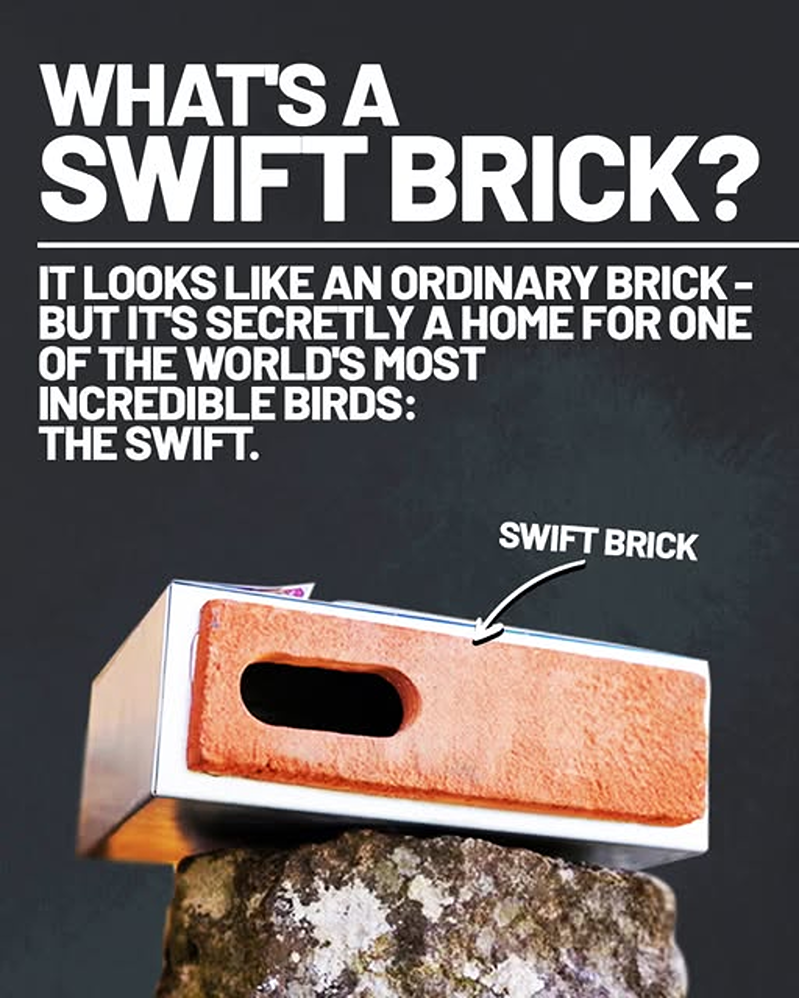 swift brick