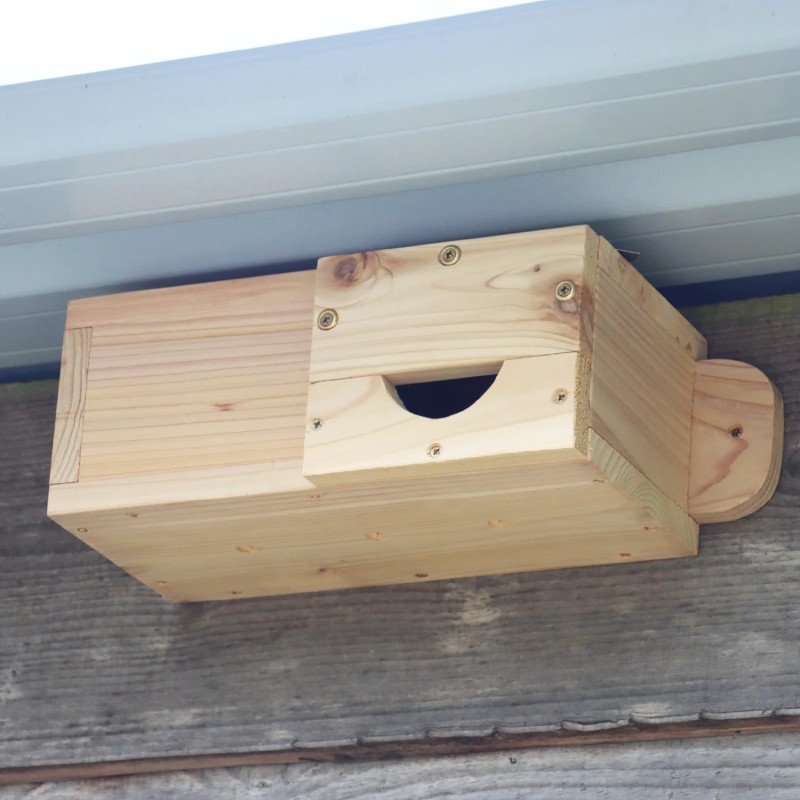 swift nest box