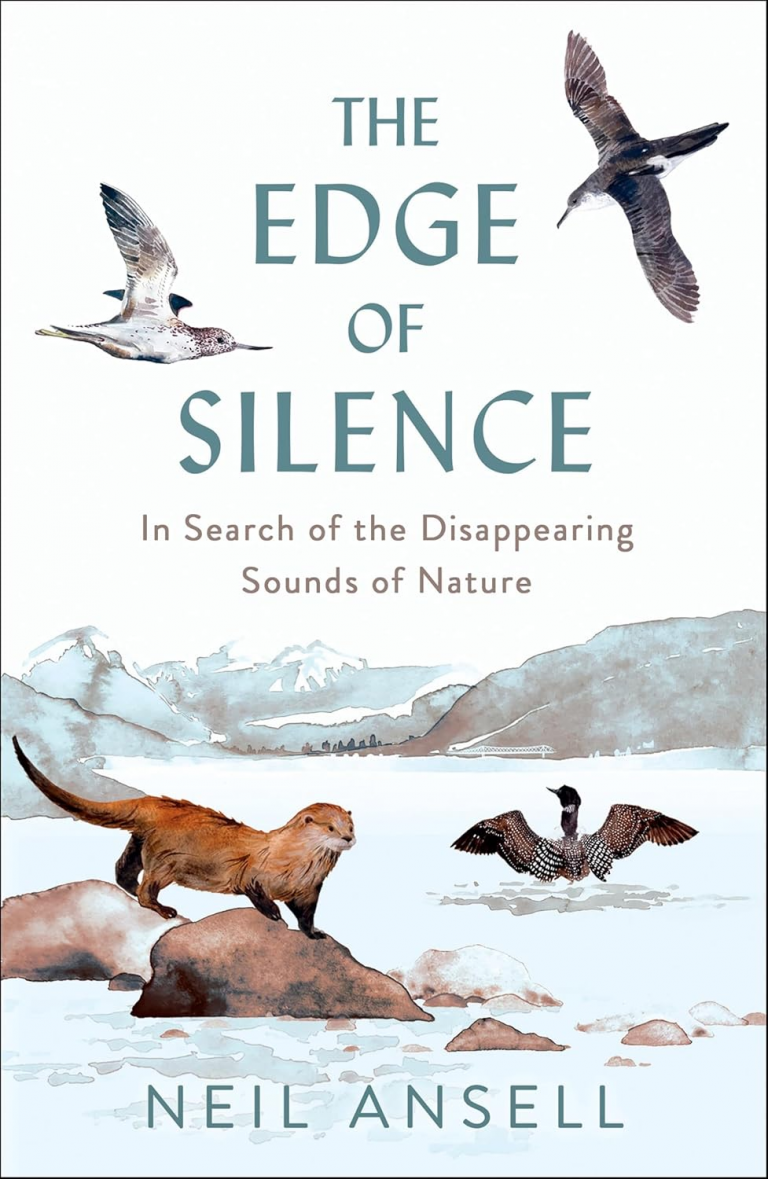 the edge of silence