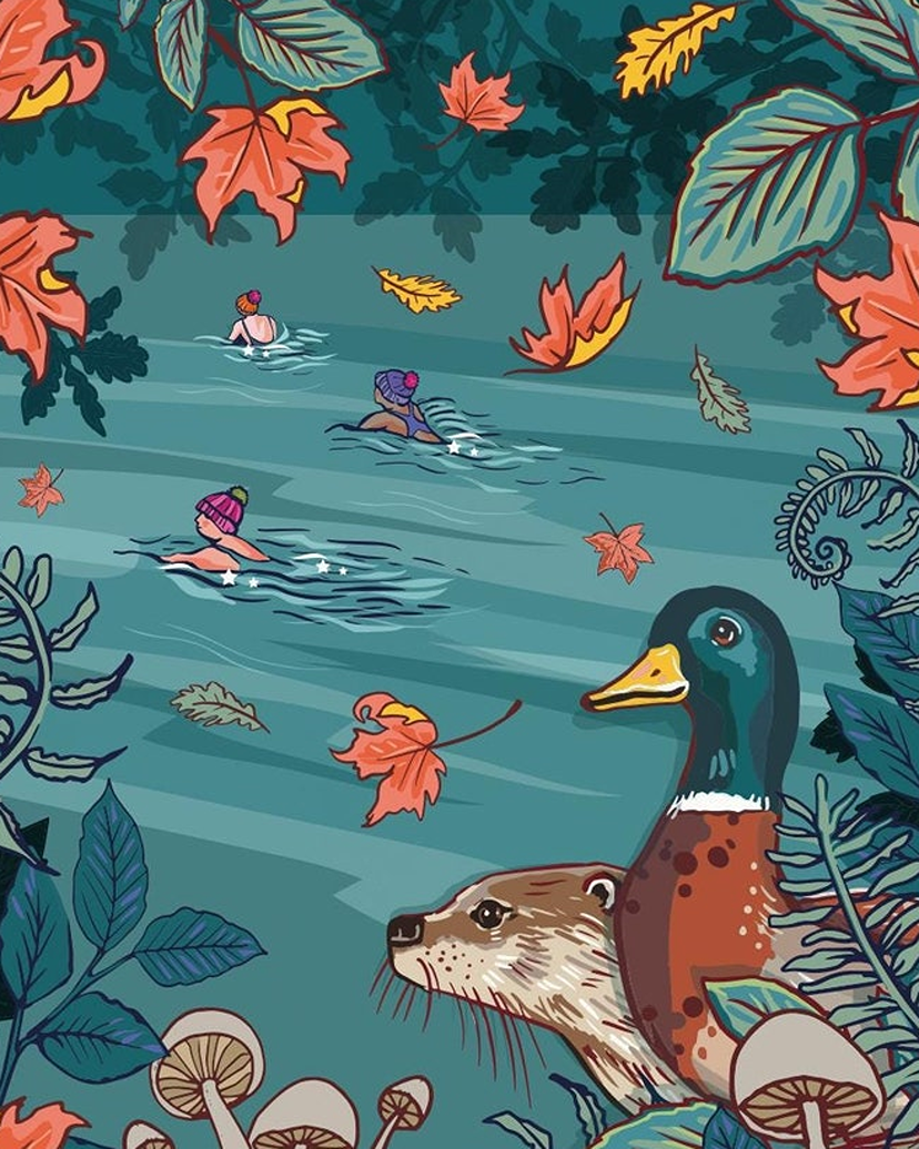 wild swimmers 