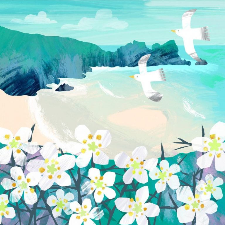 Porthcurno Cornish coast Gill Wild