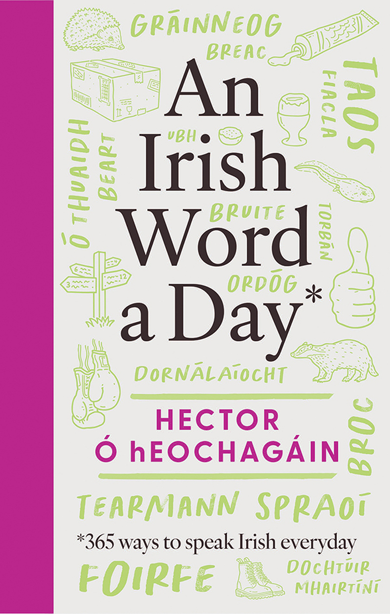 an Irish word a day