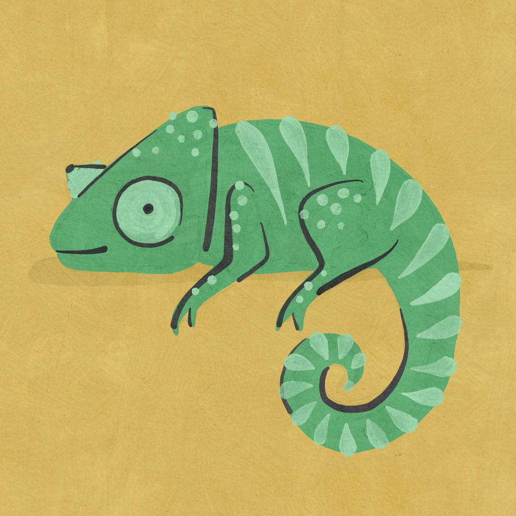 chameleon Betsy Siber