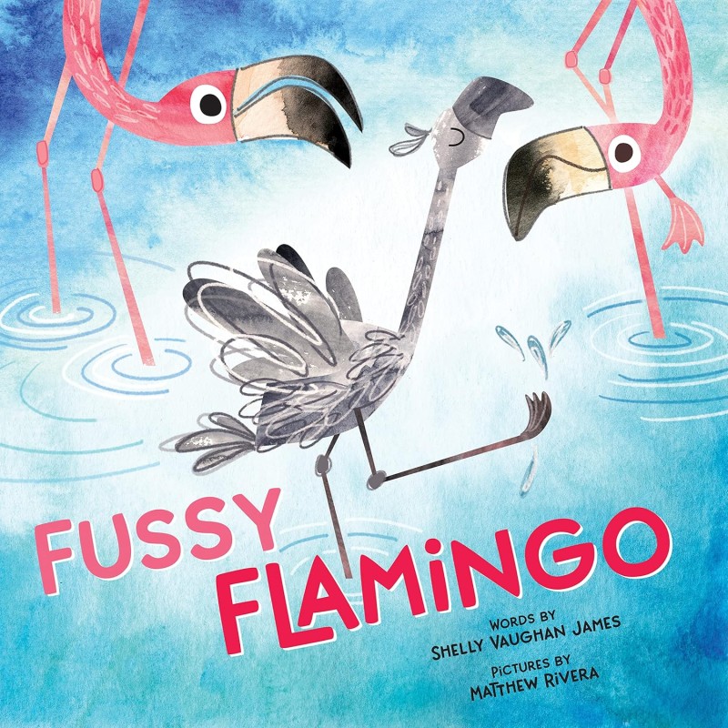 fussy flamingo
