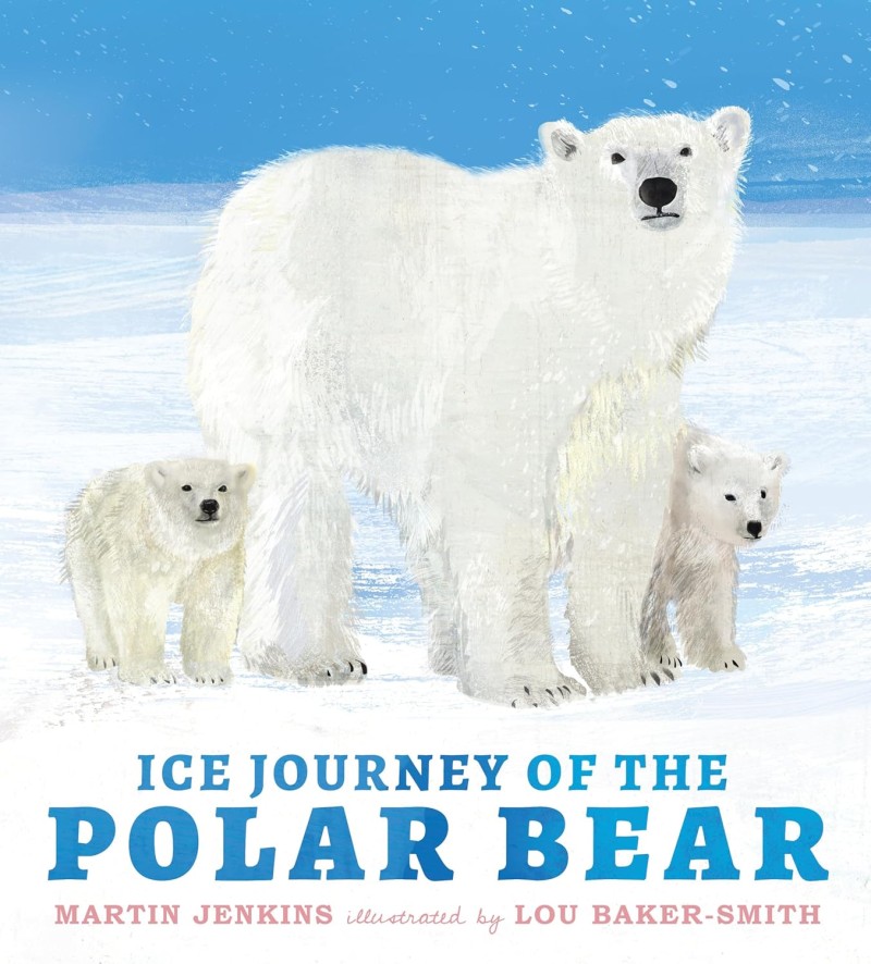 ice journey of the polar bear