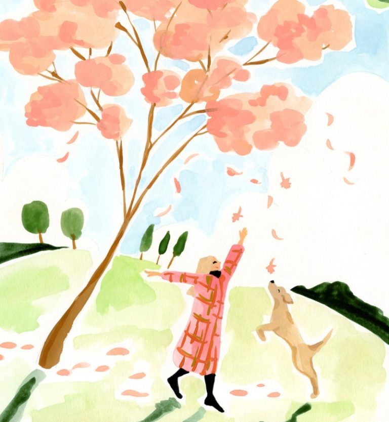 leaves and labrador Sabrina