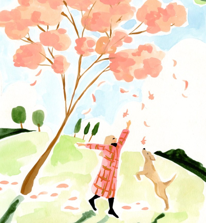 leaves and labrador Sabrina