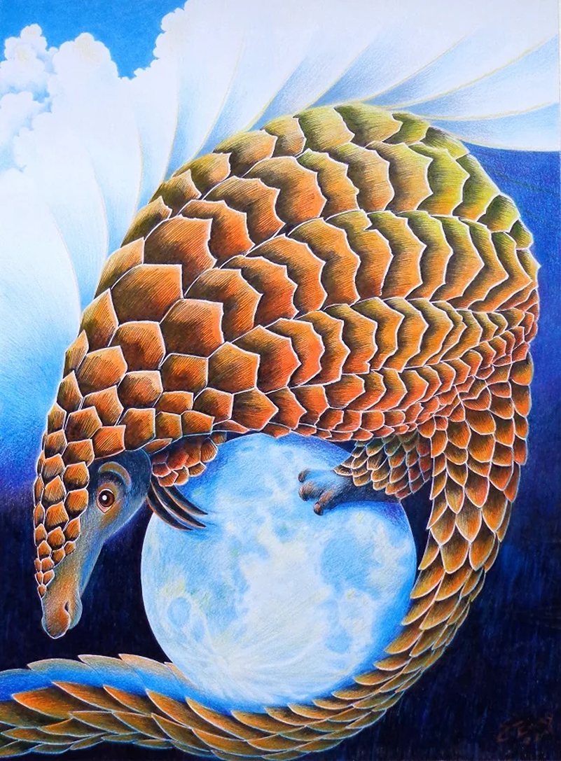 pangolin Steve Emery