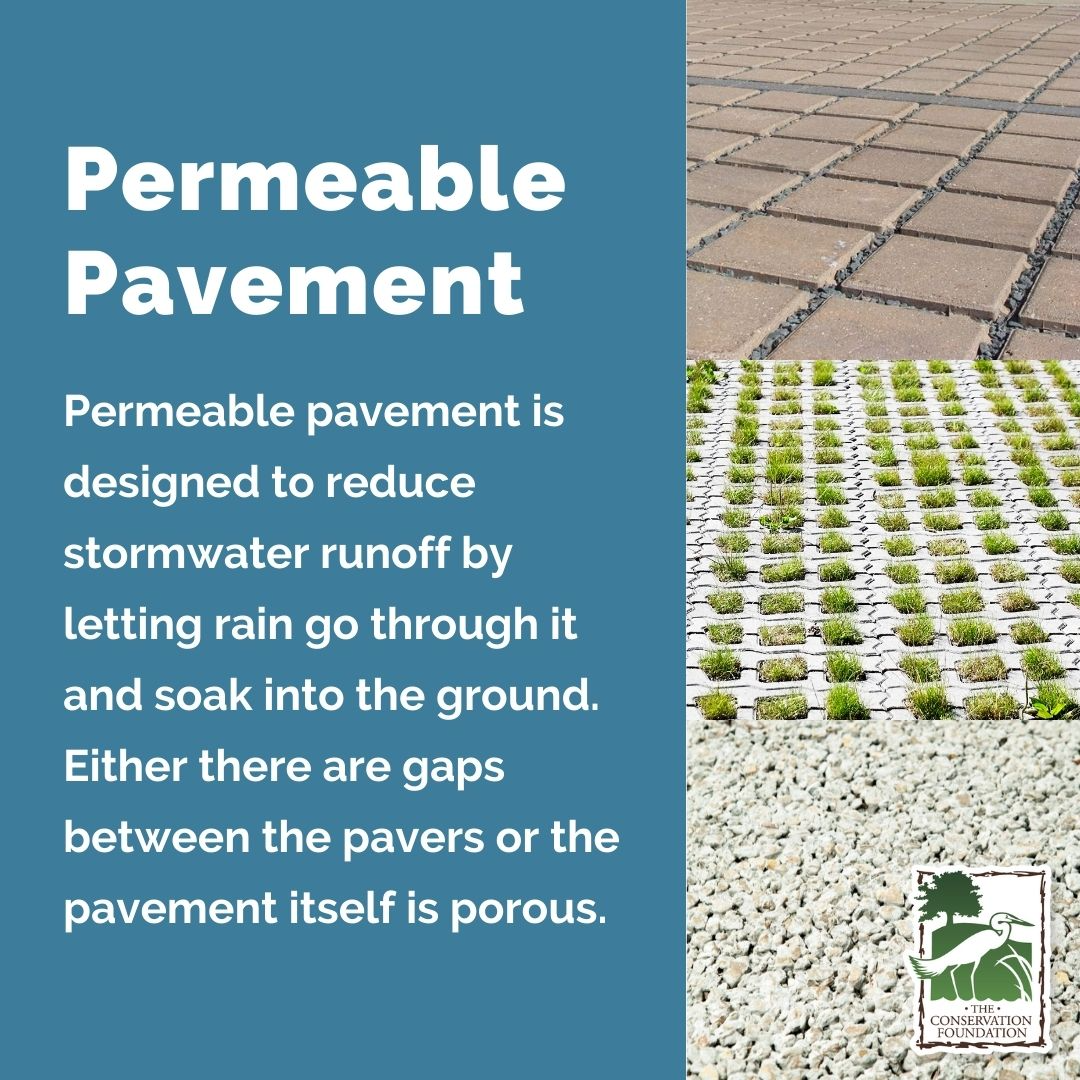 The Conservation Foundation