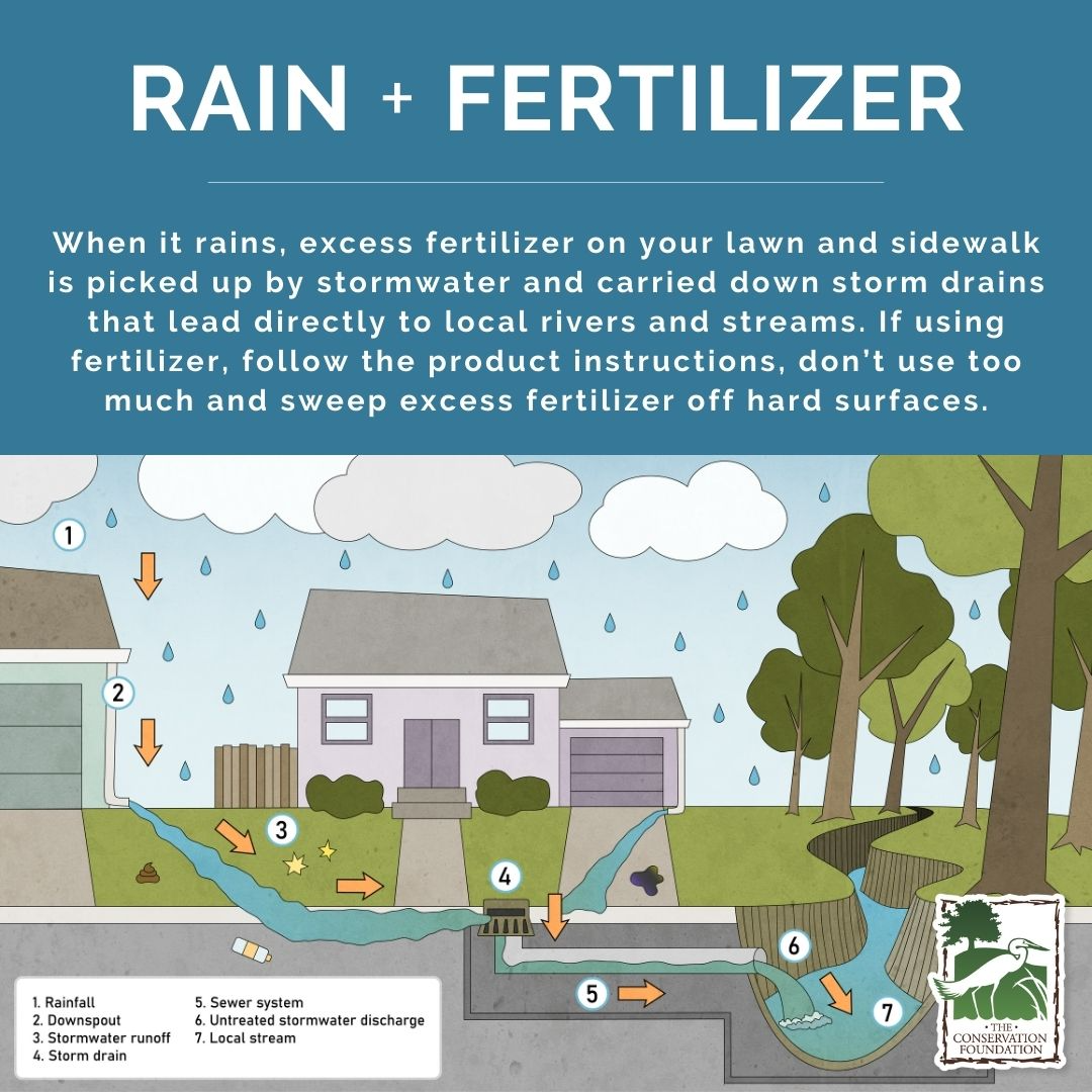 rain and fertiliser