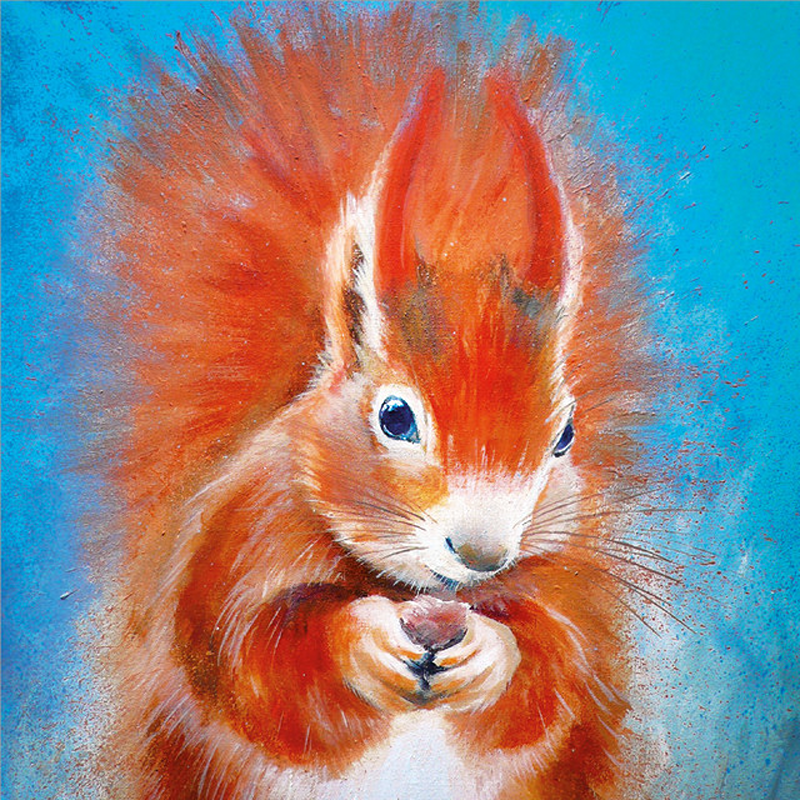 red squirrel