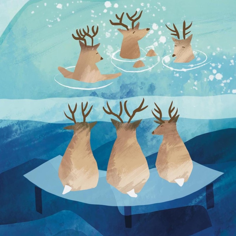 swimming wild reindeer