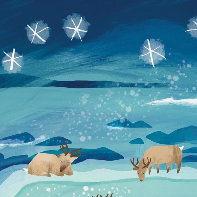 wild reindeer Gill Wild