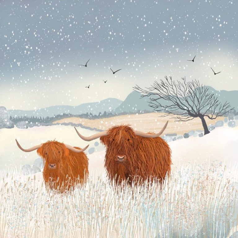 Highland Cows Caroline Smith