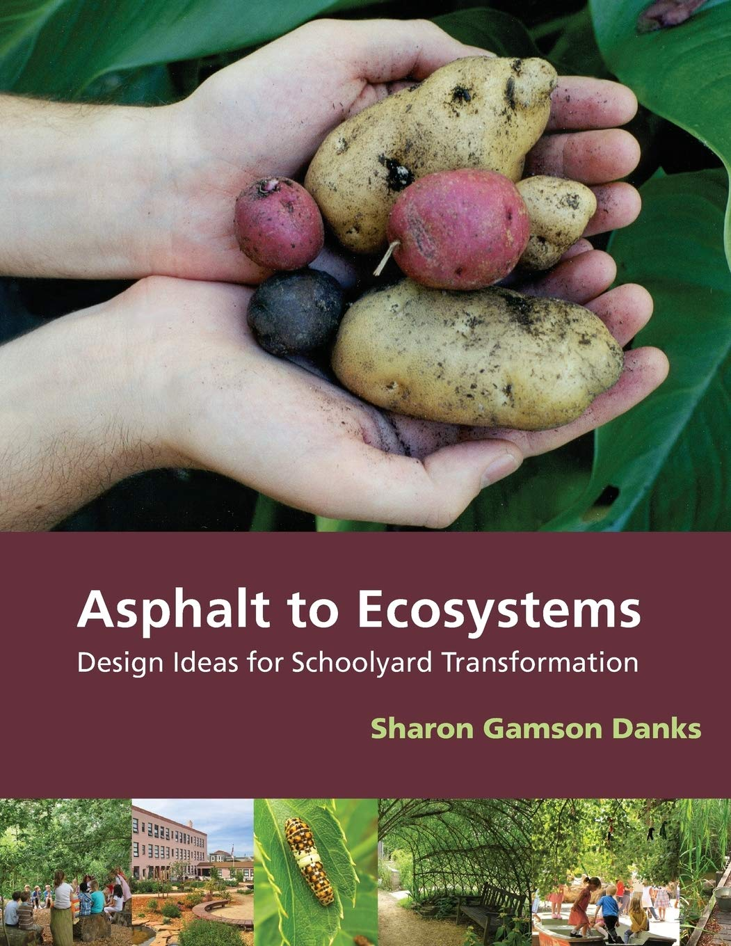 asphalt to ecosystems