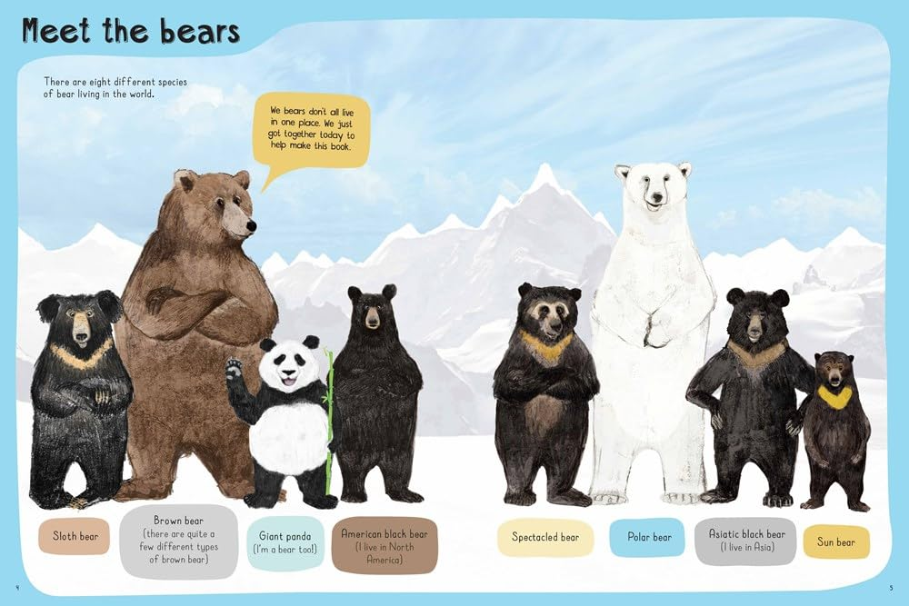 meet the bears