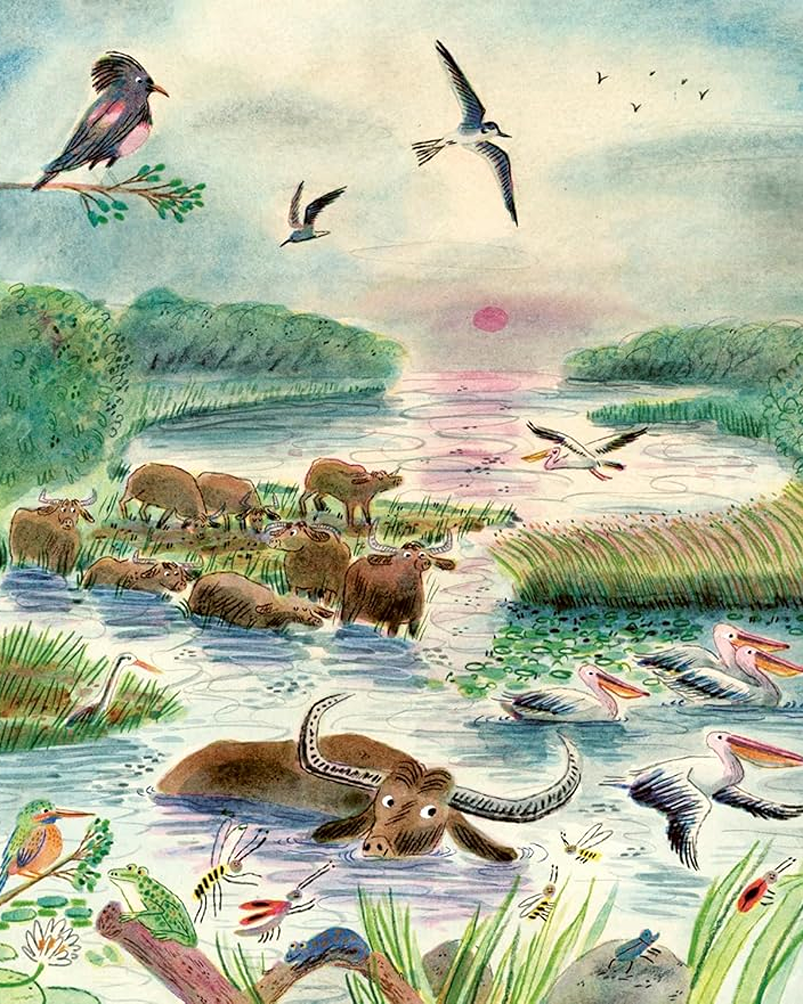 rewilding the world at bedtime