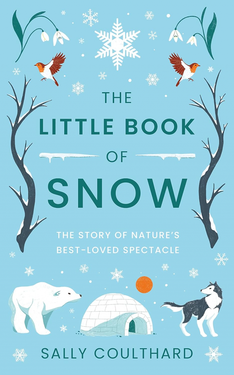 the little book of snow