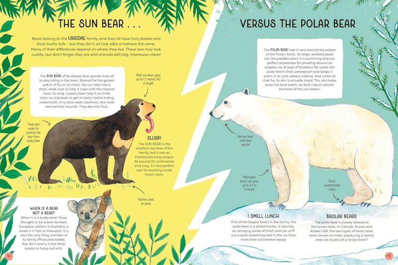 animal families Matt Sewell