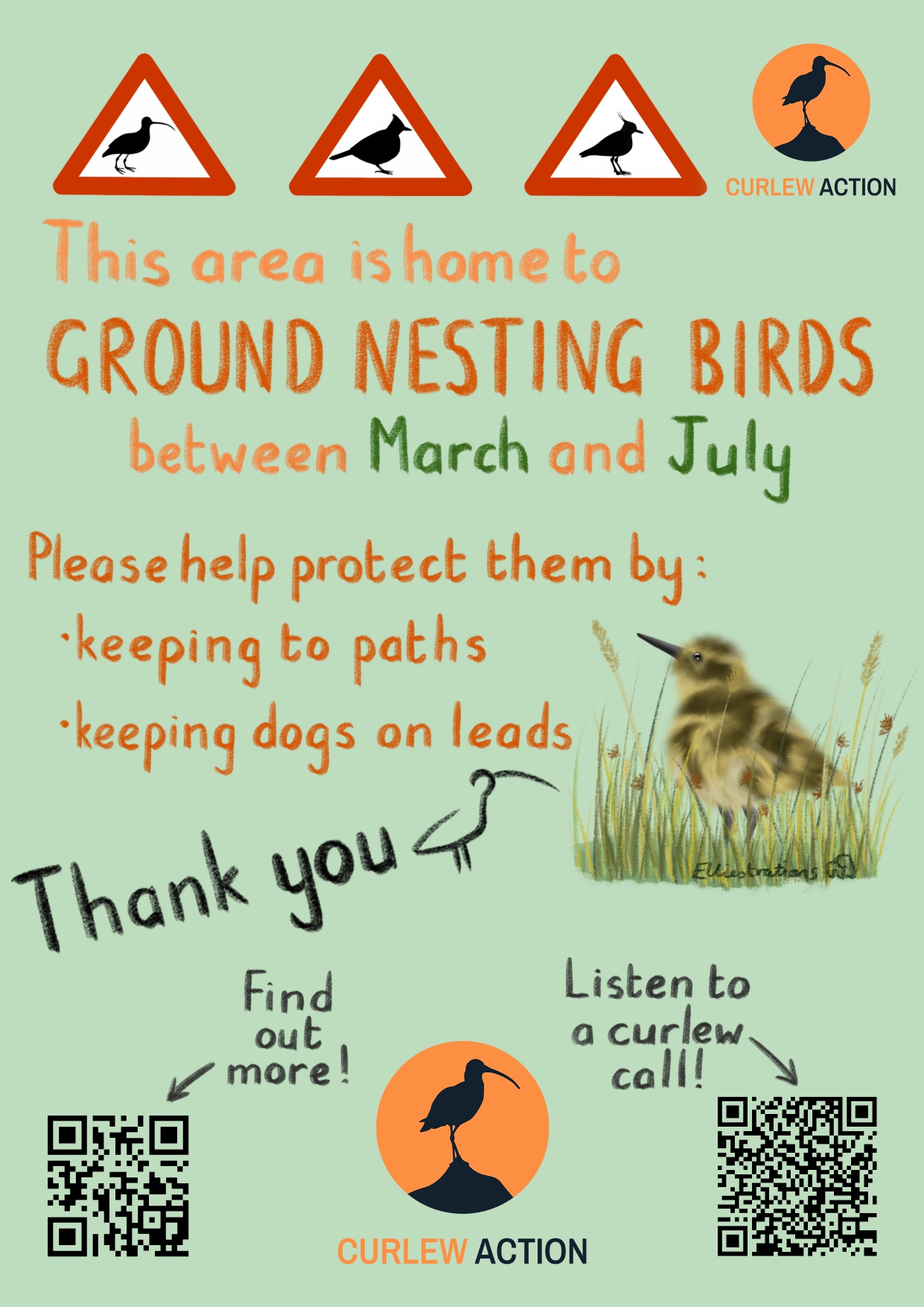 curlew action poster