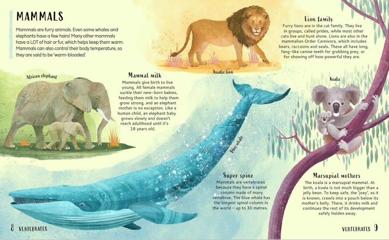 get your animals in order