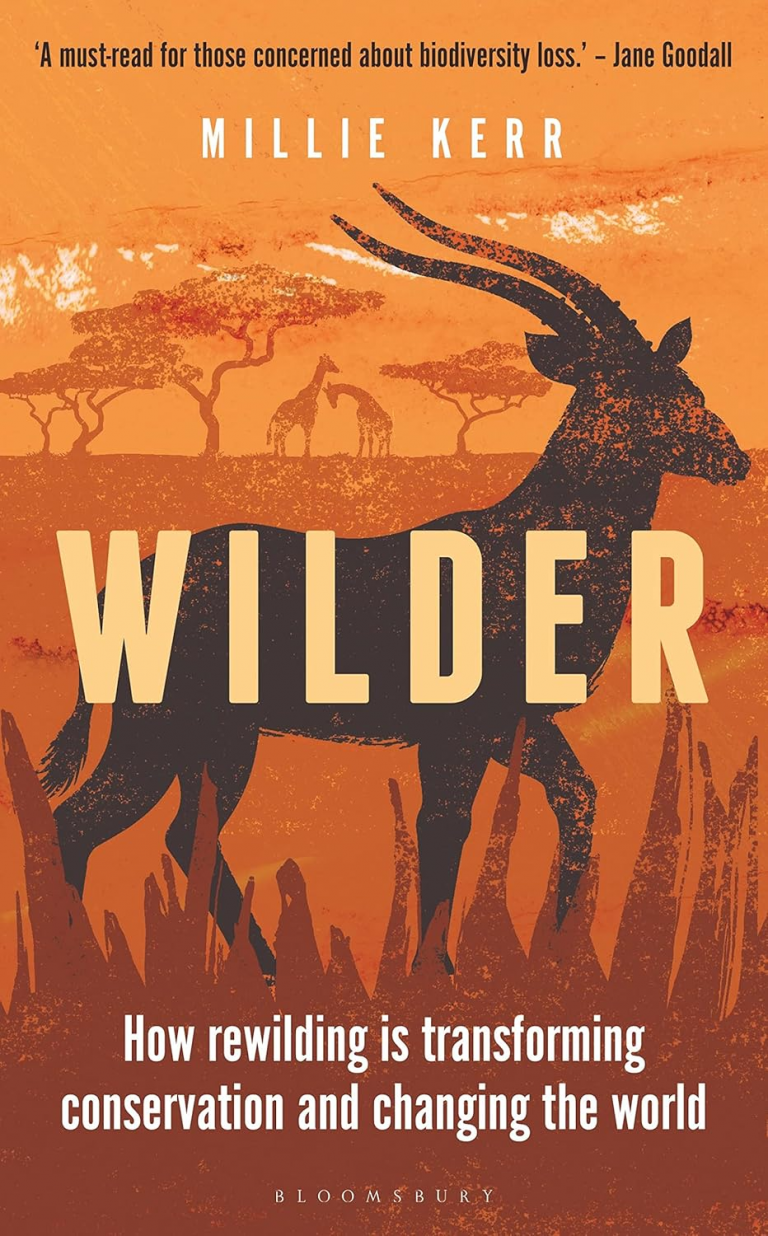 wilder