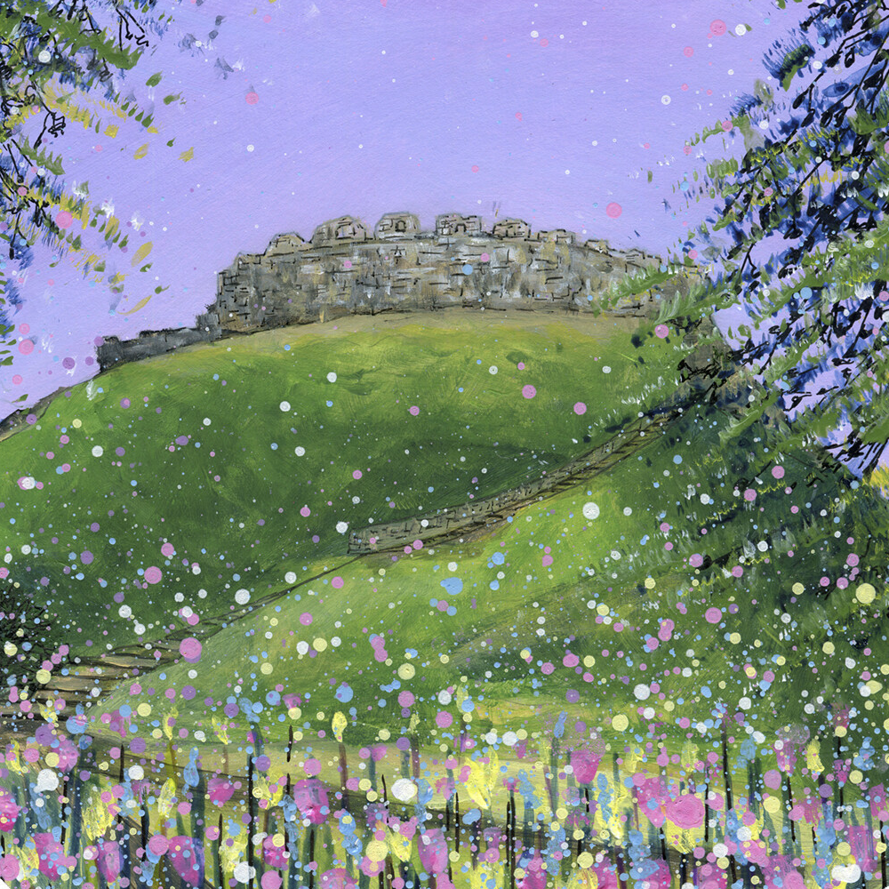 Totnes castle Emily Ward
