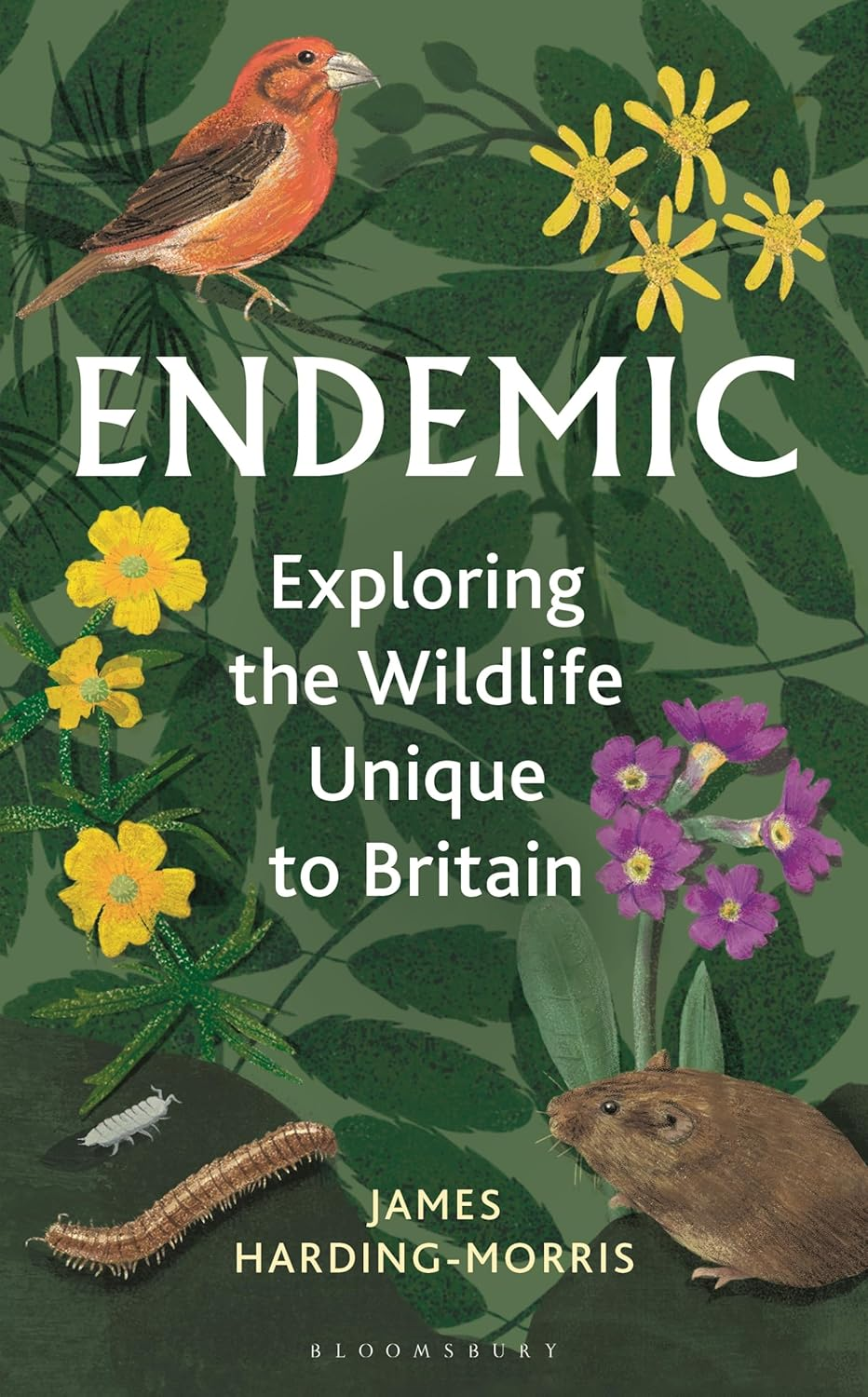 endemic wildlife Britain