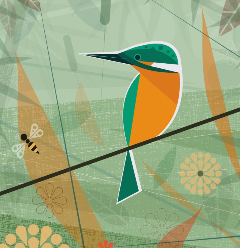 kingfisher Mr Watson design