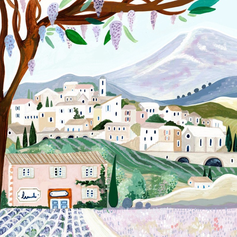 lavender fields Amber Davenport