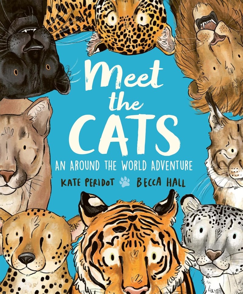 meet the cats