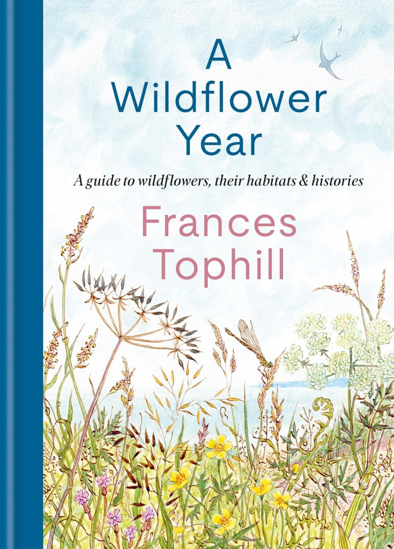 a wildflower year