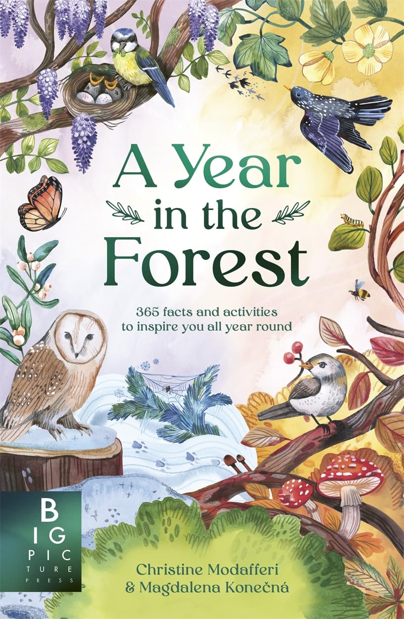 a year in the forest