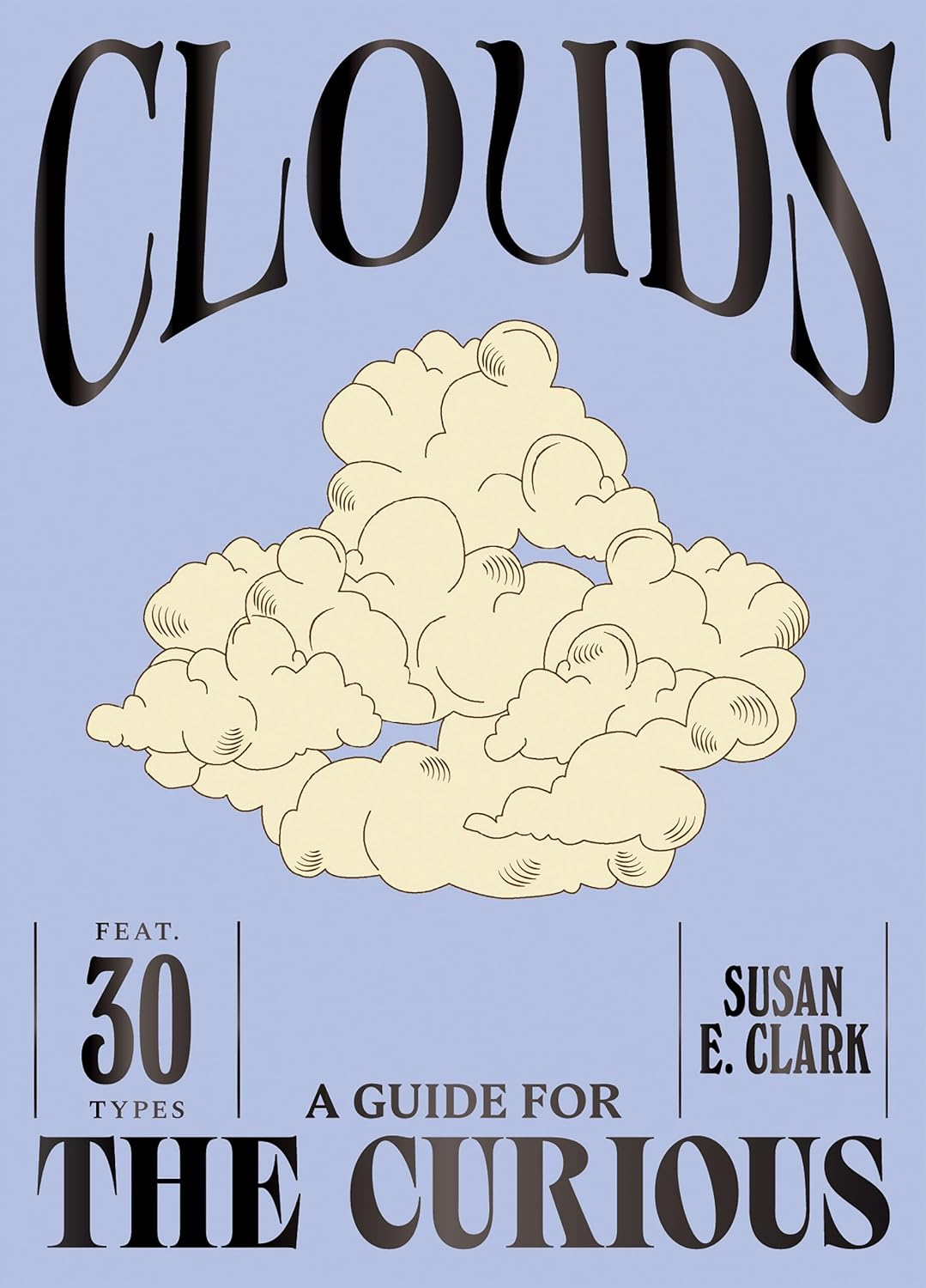 clouds a guide for the curious