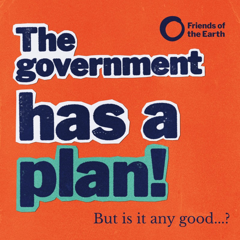 friends of the earth