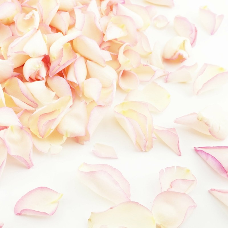 rose petal confetti