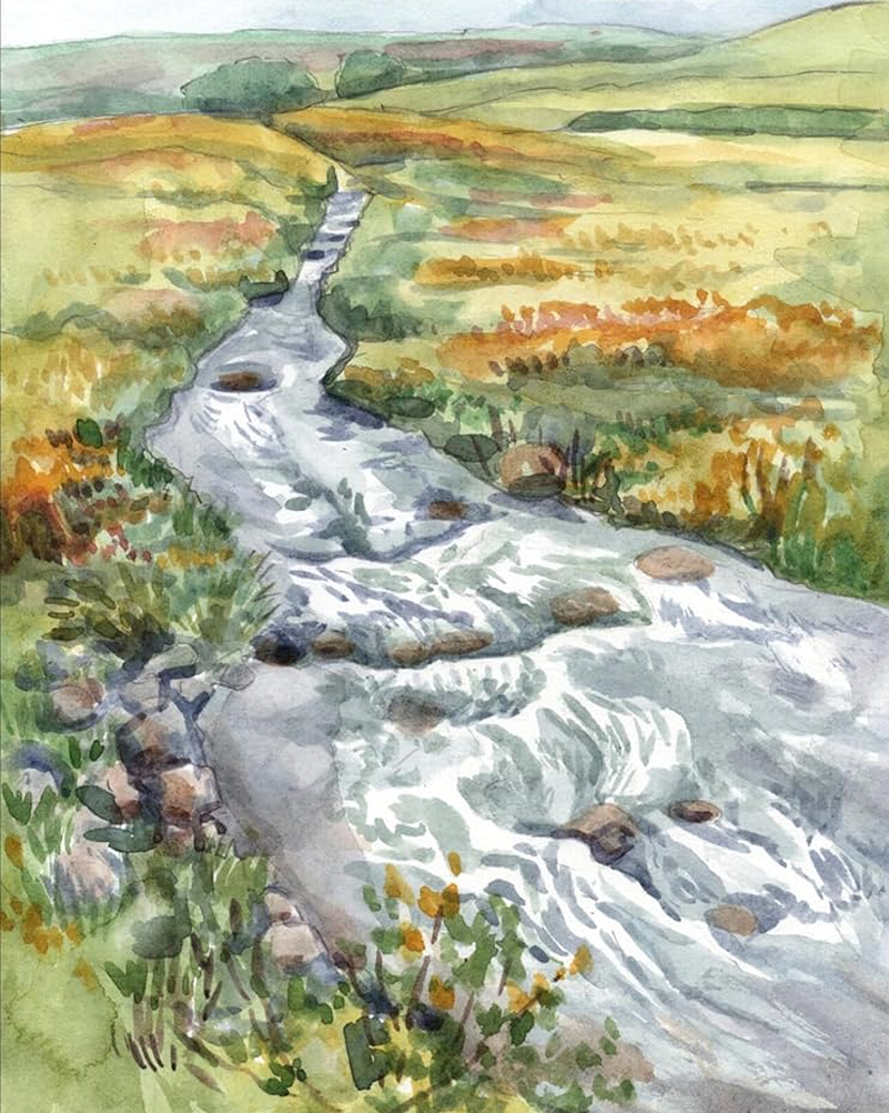 discover the art of field sketching