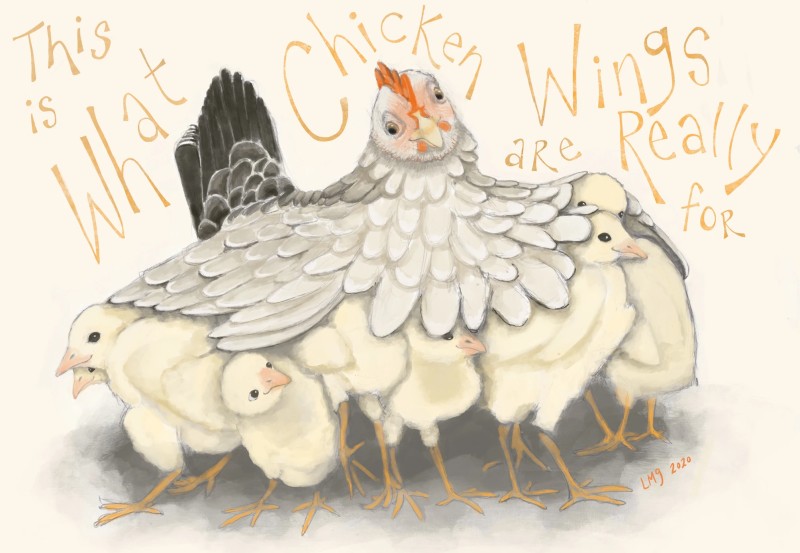 what chicken wings are for Lisa Goldberg