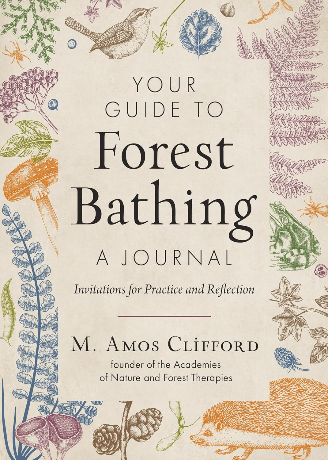 your guide to forest bathing
