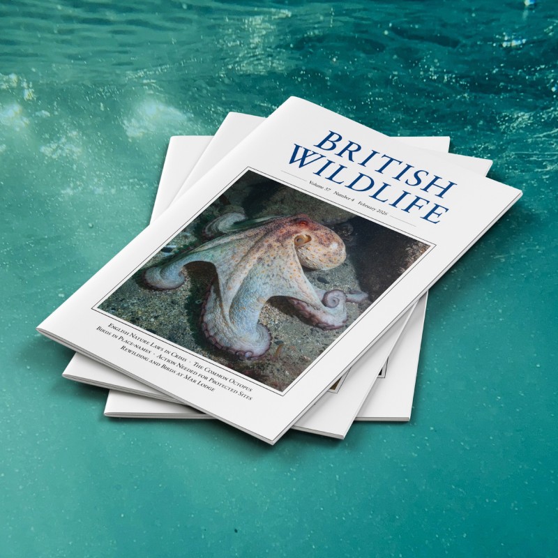 British wildlife magazine