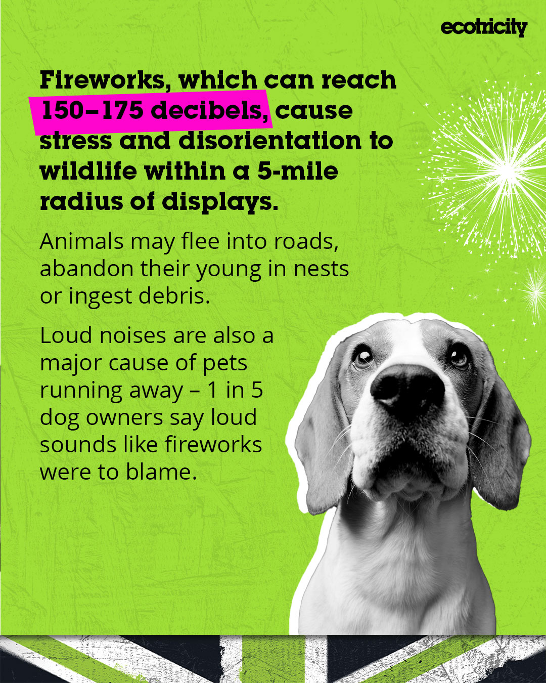avoid fireworks