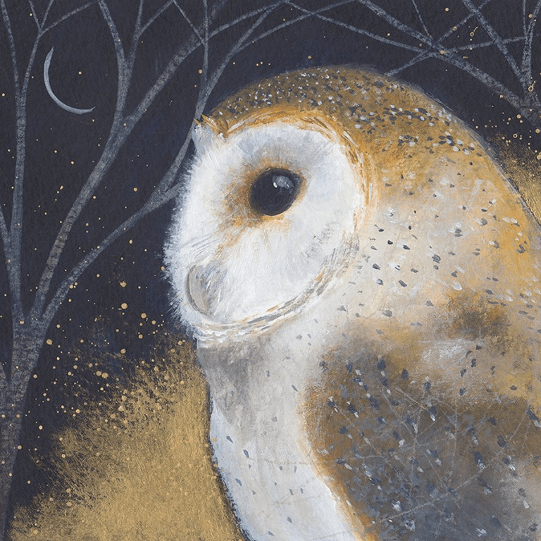 barn owl Julia Crossland