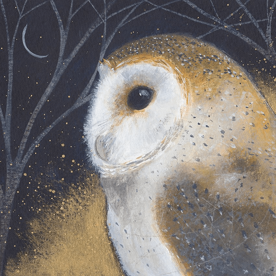 barn owl Julia Crossland
