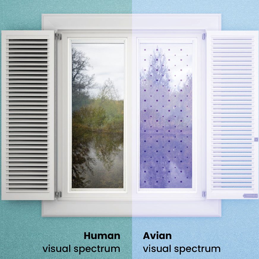 feather friendly bird tape