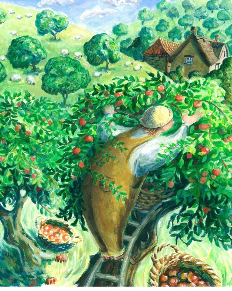 fruit orchard Jenny Beck