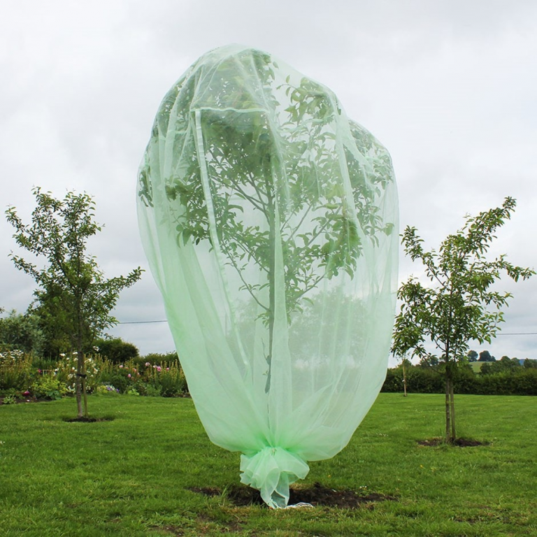 fruit tree protector bag
