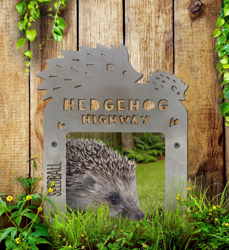 hedgehog highway
