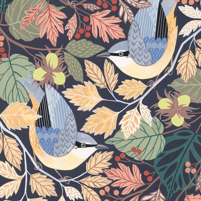 nuthatches Claire Tuxworth