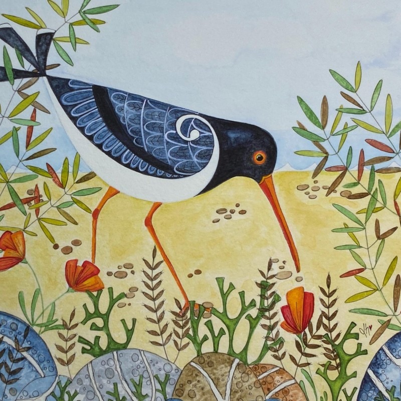 oystercatcher Linda Hoskin