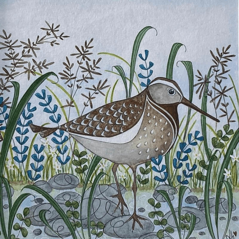 sandpiper Linda Hoskin